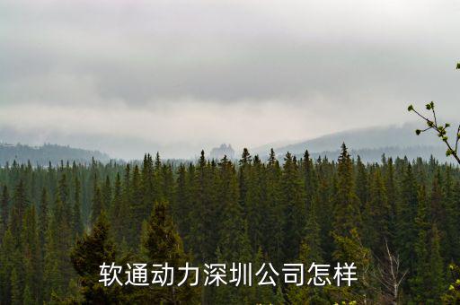 软通动力深圳公司怎样