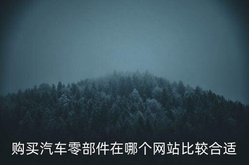 购买汽车零部件在哪个网站比较合适