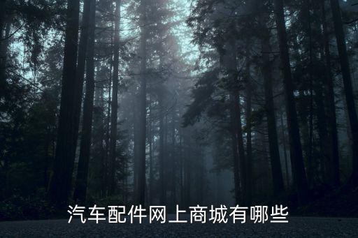 汽车配件网上商城有哪些