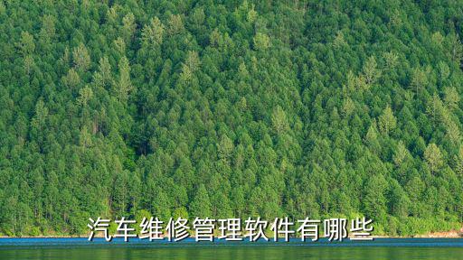 汽车维修管理软件有哪些