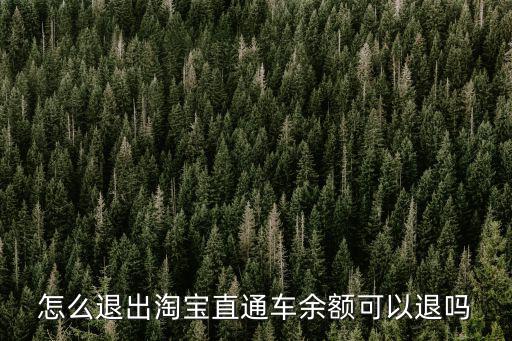 直通车账户里的钱可以退出来呢，怎么退出淘宝直通车余额可以退吗