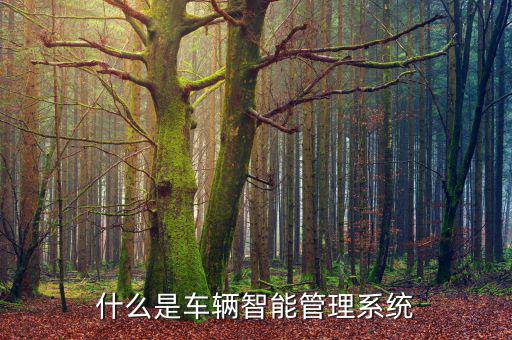 什么是车辆智能管理系统