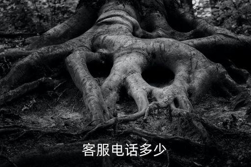 客服电话多少