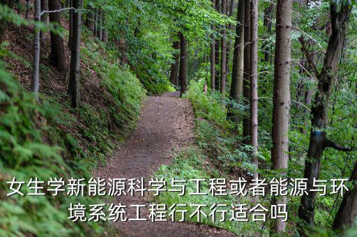 女生学新能源科学与工程或者能源与环境系统工程行不行适合吗