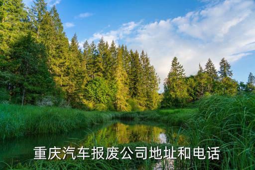 汽车报废厂电话，你好请问一下你知道中国的几个大报废厂吗
