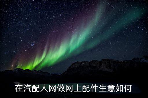 在汽配人网做网上配件生意如何