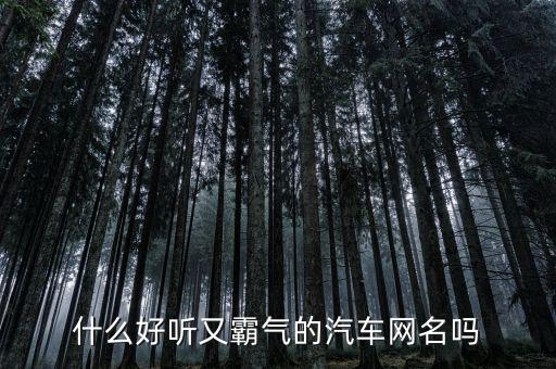 什么好听又霸气的汽车网名吗