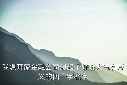 我想开家金融公司想起个好听大气有意义的四个字名字