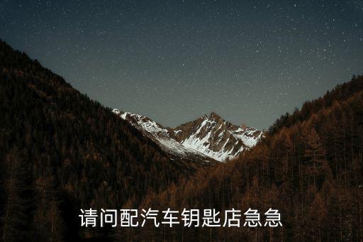 请问配汽车钥匙店急急