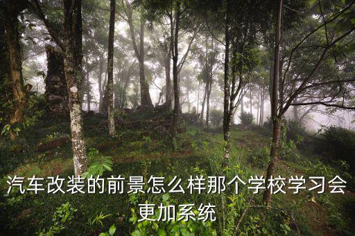 汽车改装的前景怎么样那个学校学习会更加系统