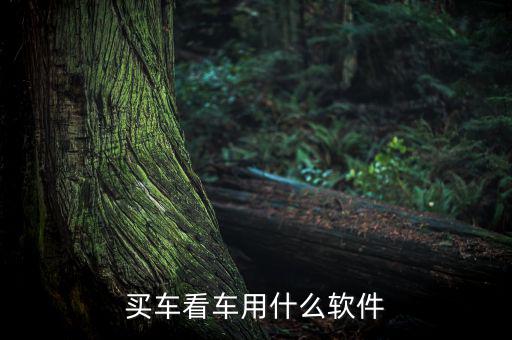 买车看车用什么软件
