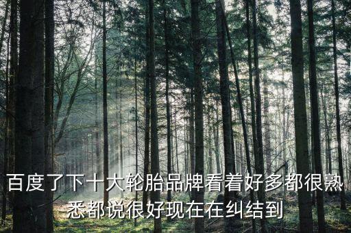 百度了下十大轮胎品牌看着好多都很熟悉都说很好现在在纠结到