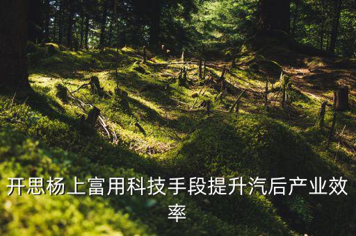 开思杨上富用科技手段提升汽后产业效率
