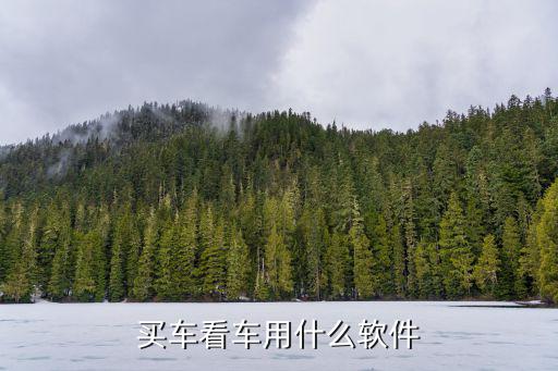 买车看车用什么软件