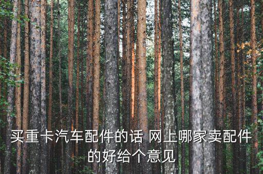 买重卡汽车配件的话 网上哪家卖配件的好给个意见