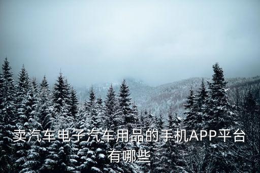卖汽车电子汽车用品的手机APP平台有哪些