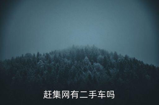 赶集网有二手车吗