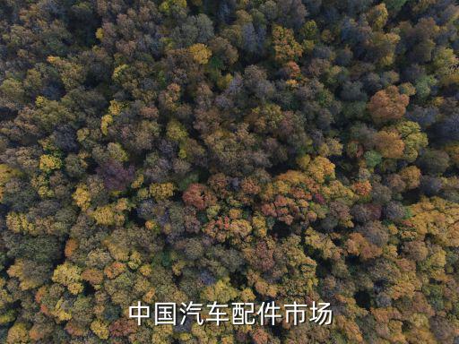中国汽车配件市场