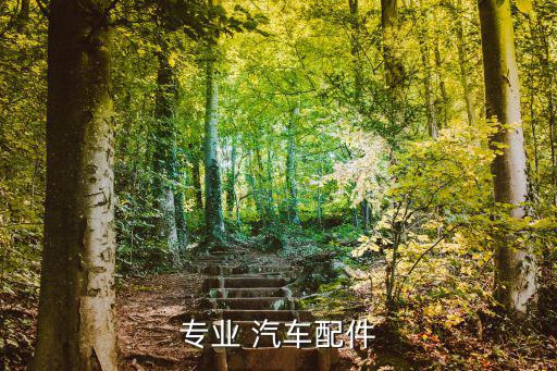 专业 汽车配件