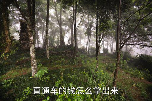 直通车的钱怎么拿出来