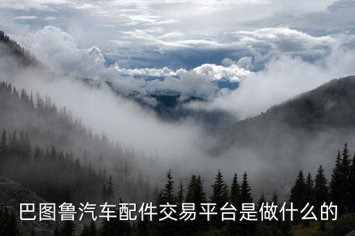 巴图鲁汽车配件交易平台是做什么的