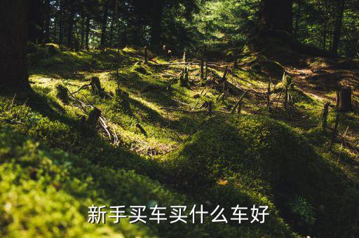 新手买车买什么车好