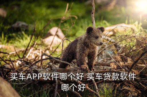 买车APP软件哪个好 买车贷款软件哪个好