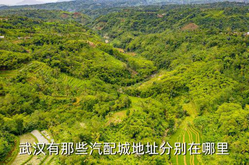 武汉有那些汽配城地址分别在哪里