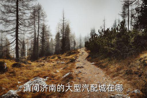请问济南的大型汽配城在哪