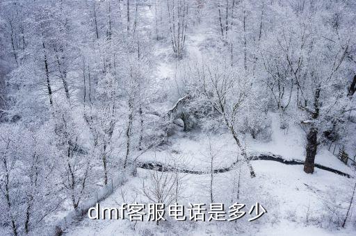dmf客服电话是多少