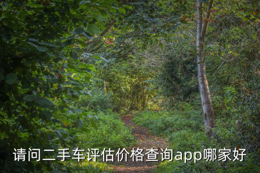 请问二手车评估价格查询app哪家好