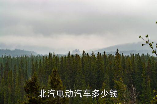 北汽电动汽车多少钱