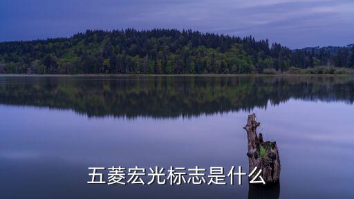 五菱宏光标志是什么