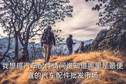 我想搞汽车配件请问谁知道哪里是最便宜的汽车配件批发市场