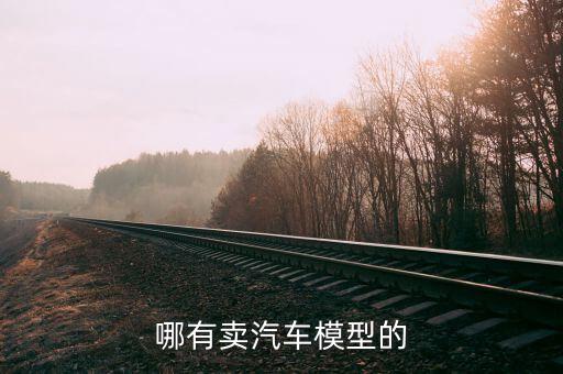 哪有卖汽车模型的