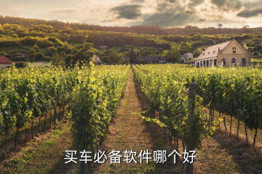 买车必备软件哪个好