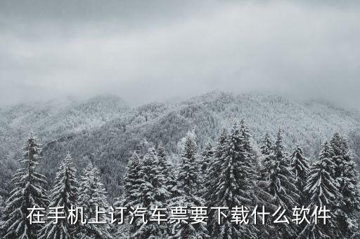 在手机上订汽车票要下载什么软件