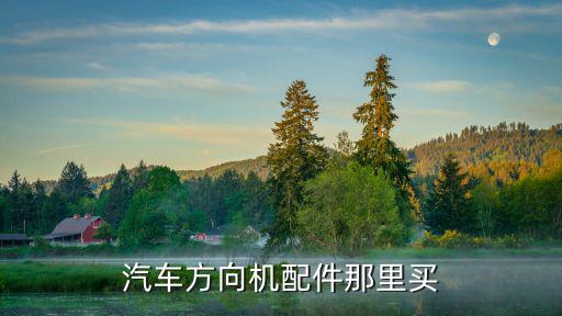 方向机配件批发市场，汽车方向机配件那里买
