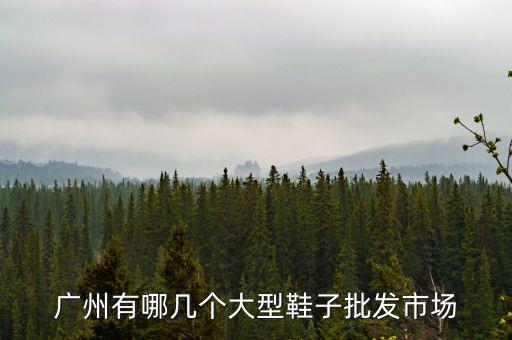 广州有哪几个大型鞋子批发市场