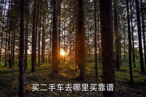 买二手车去哪里买靠谱