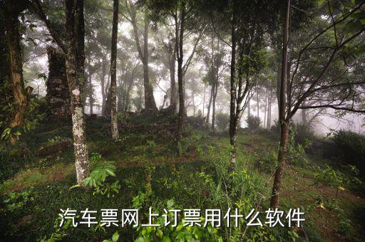汽车票网上订票用什么软件
