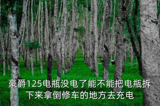 豪爵125电瓶没电了能不能把电瓶拆下来拿倒修车的地方去充电