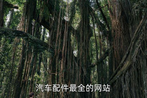 汽车配件最全的网站