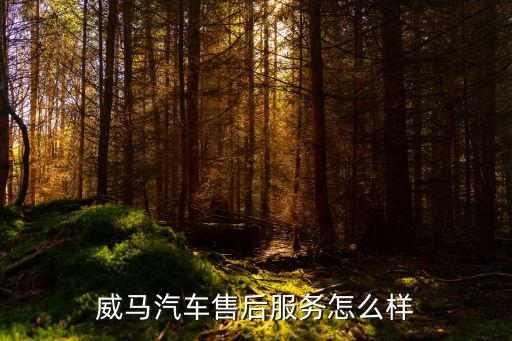 威马汽车售后服务，襄樊哪有修五菱之光的