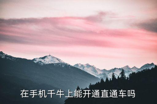 在手机千牛上能开通直通车吗