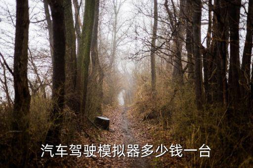 汽车驾驶模拟器多少钱一台