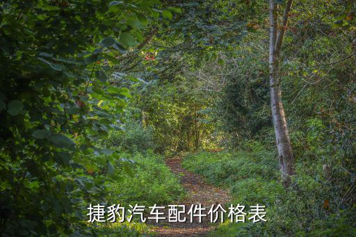 捷豹汽车配件价格表