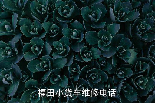 福田小货车维修电话