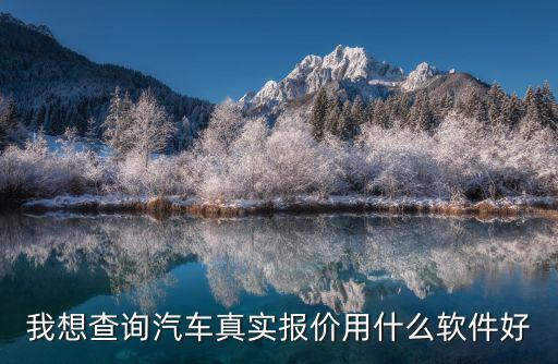 我想查询汽车真实报价用什么软件好