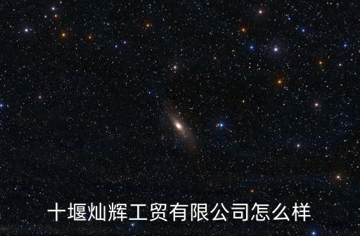十堰灿辉工贸有限公司怎么样